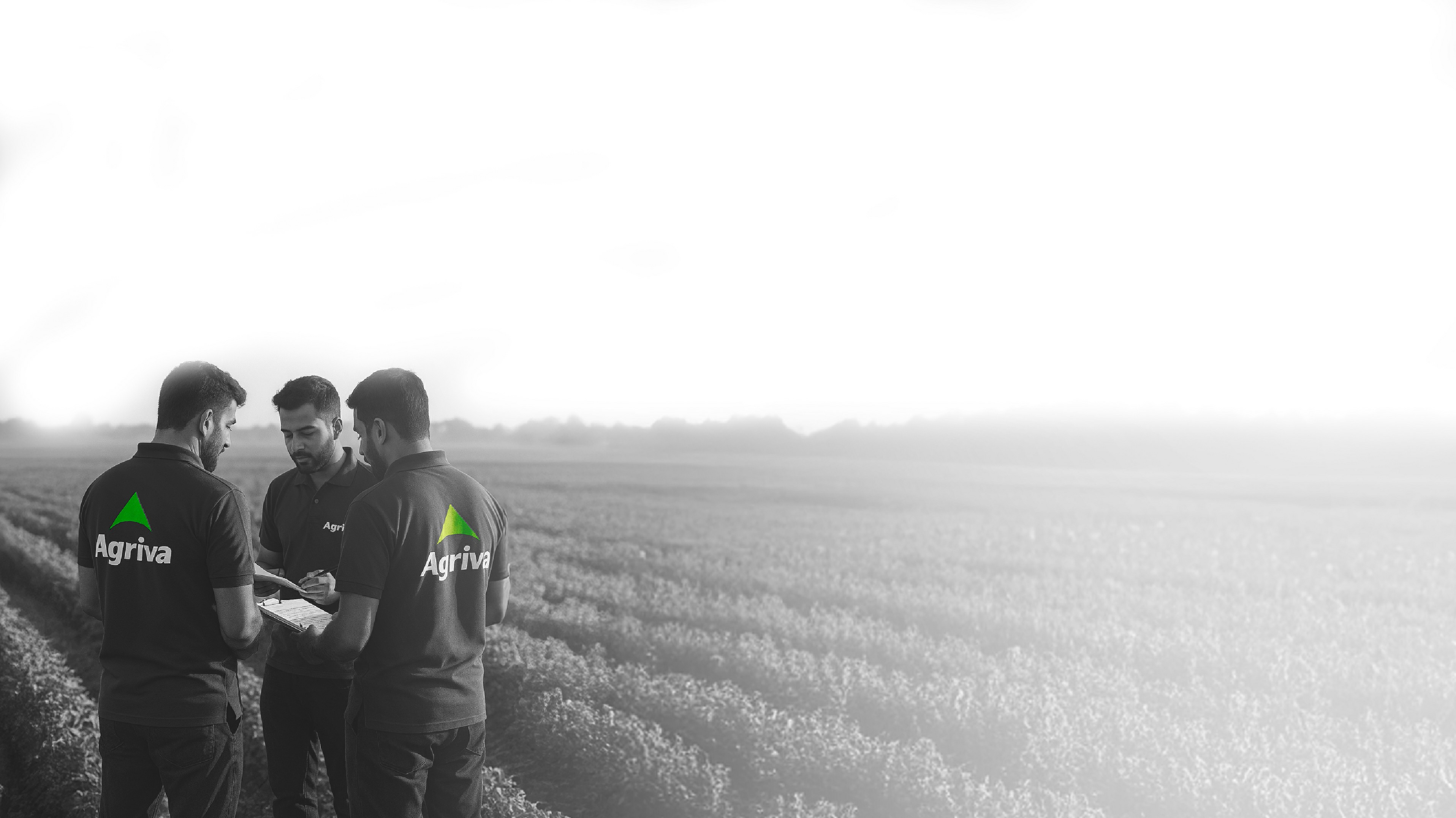 خلفية عن الشركة